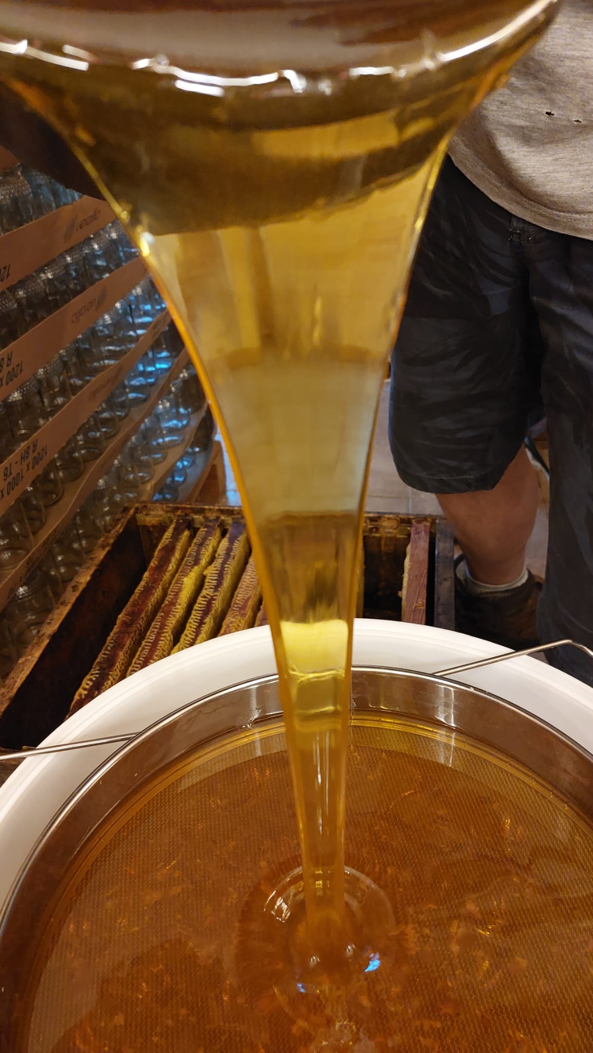 Extraction